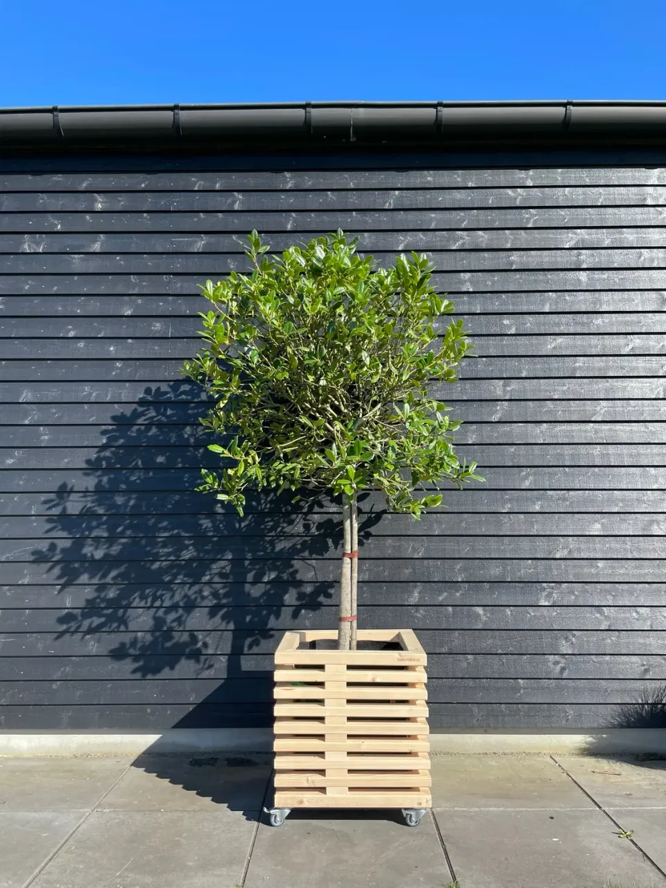 Kabeltromlen Planteskjuler plantekasse nye traller 52 cm