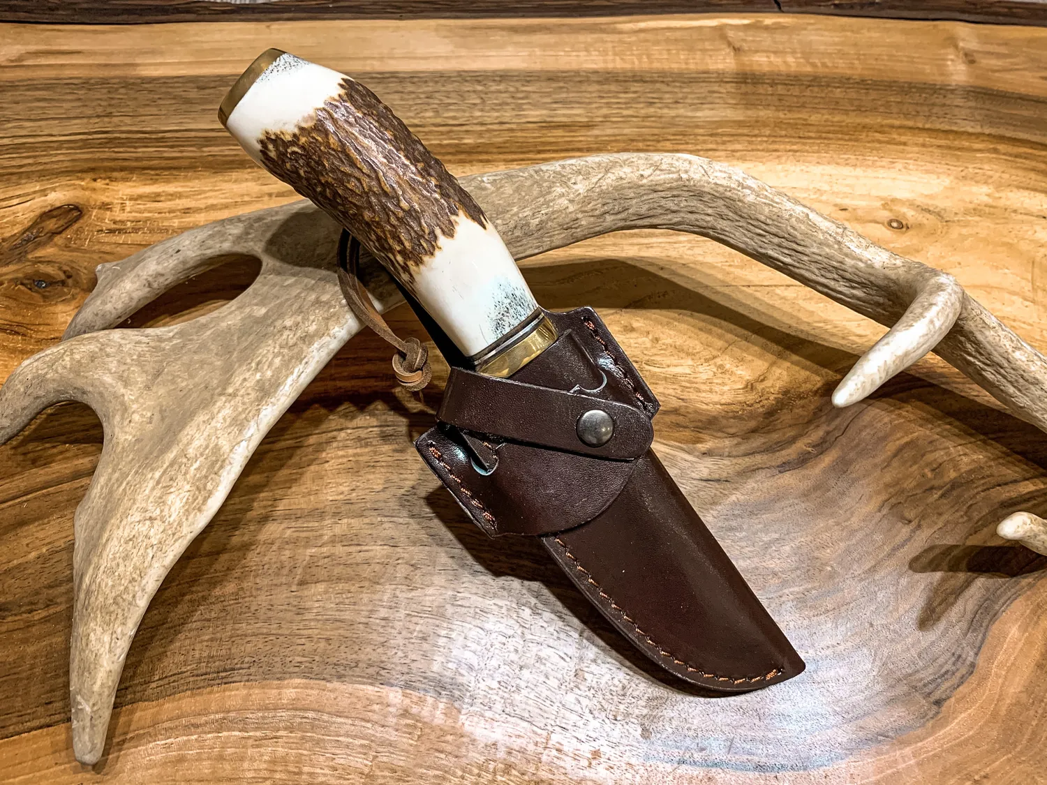 Oh My Deer Hirschhorngriff jagtkniv med hjortehorn