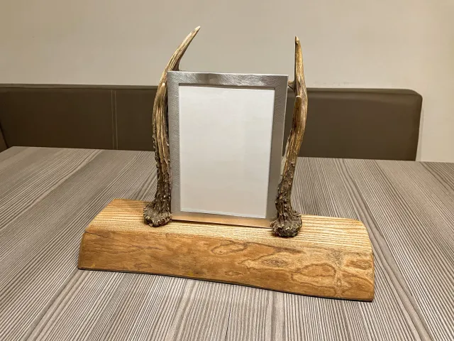 Oh My Deer Rehgeweih billedramme rådyrgevir vægstykke
