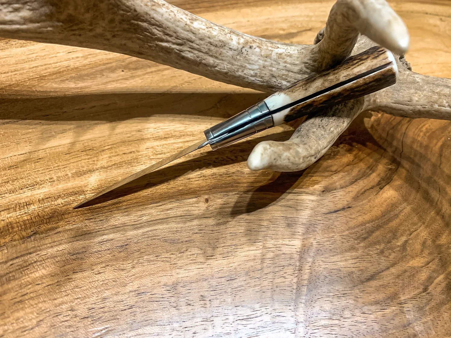 Oh My Deer Hirschhorn Feitel foldekniv hjortehorn