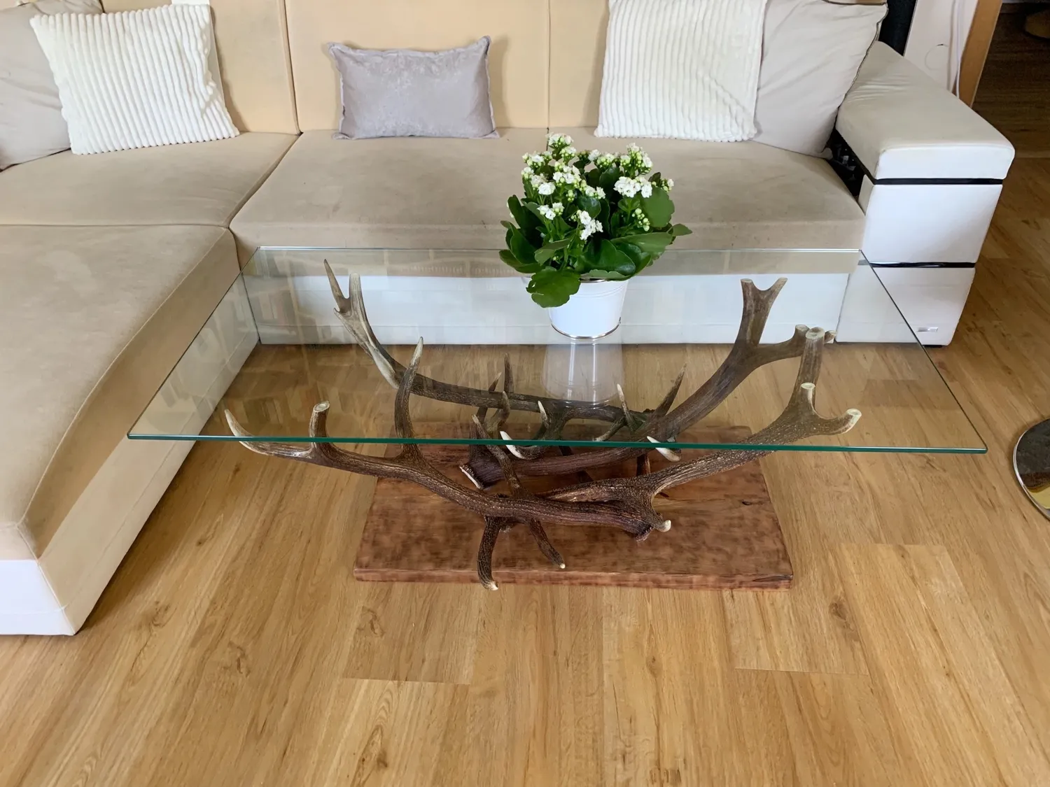Oh My Deer Couchtisch sofabord landhus massivt træ