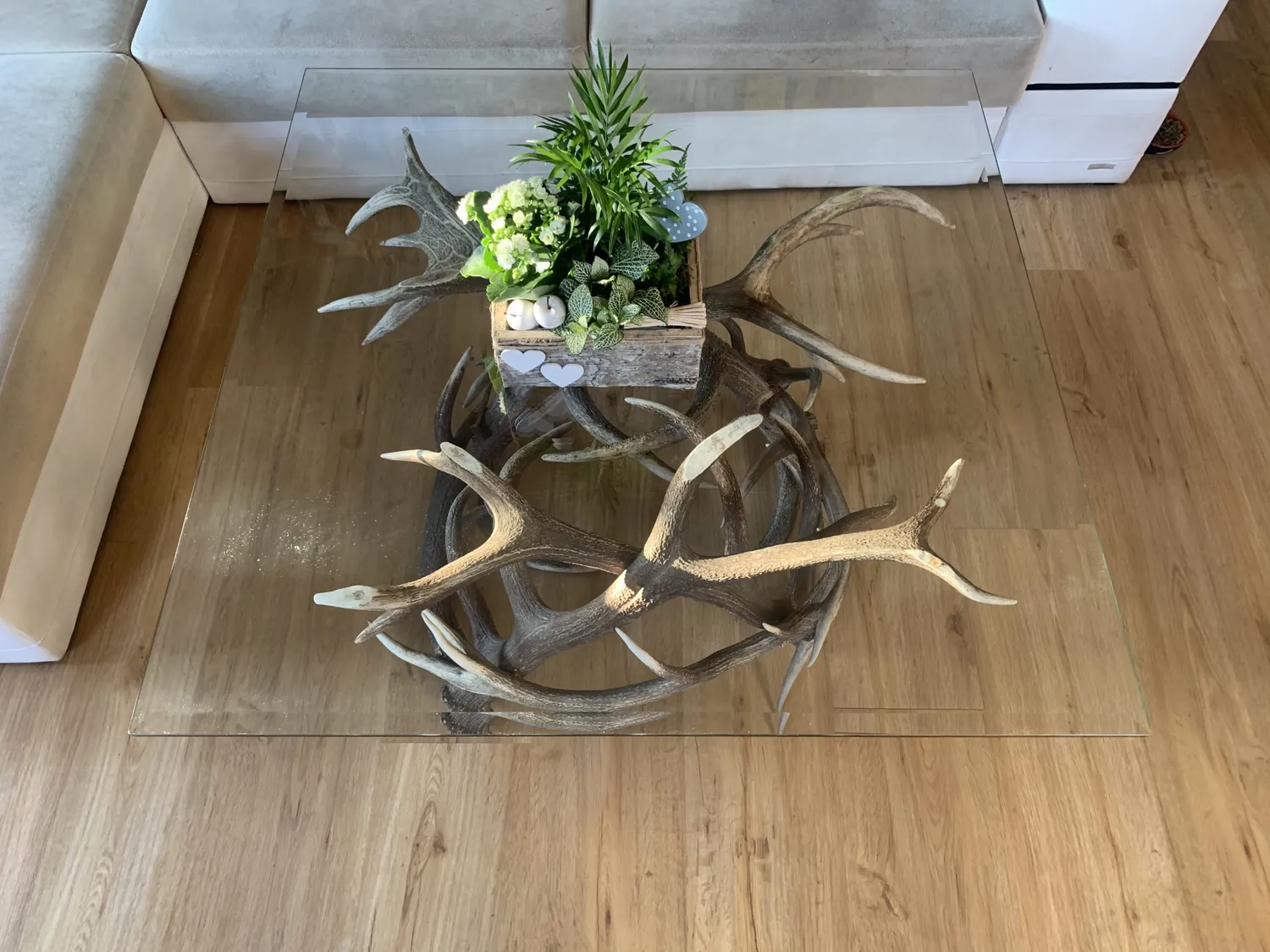 Oh My Deer Landhaus Couchtisch sofabord massivt træ