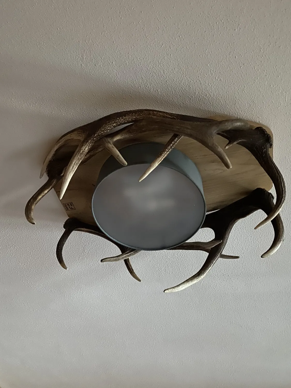 Oh My Deer Rothirsch loftlampe kronhjort træ