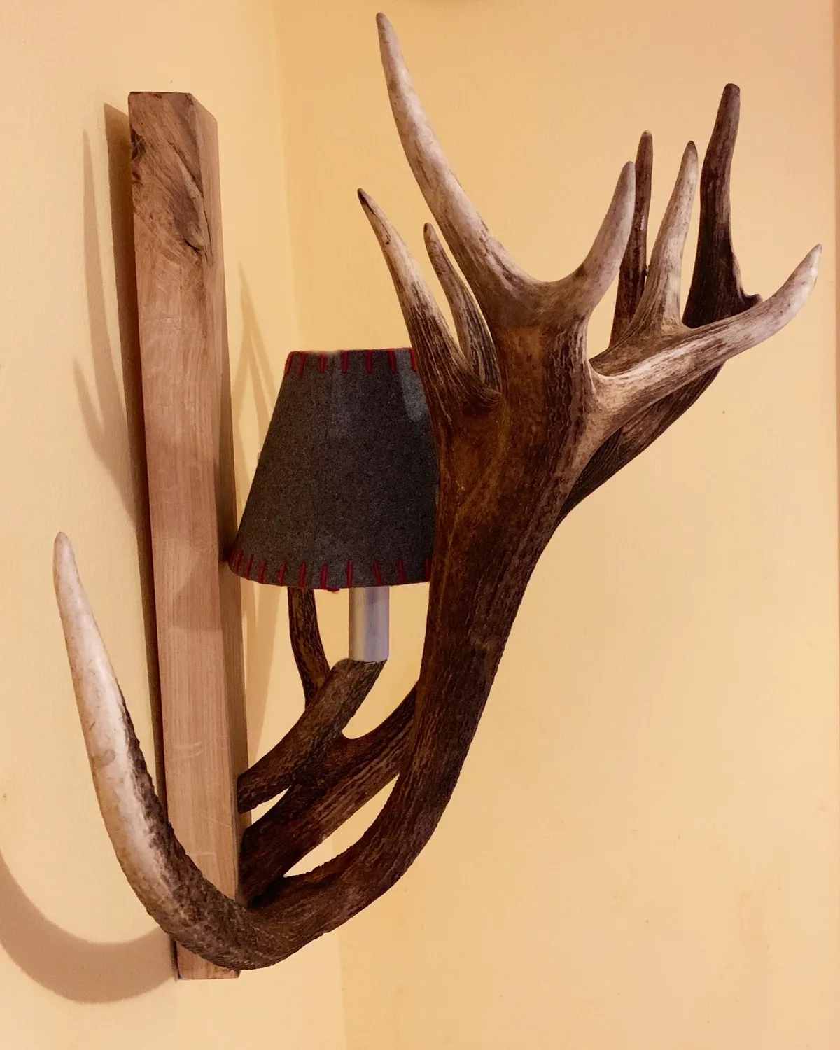 Oh My Deer Geweih Wandlampe væglampe gevir natur
