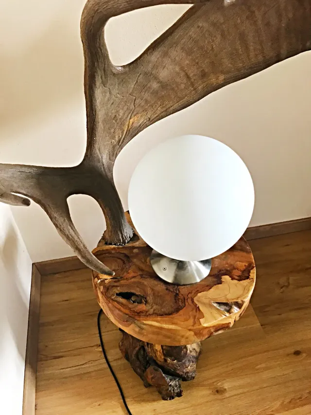 Oh My Deer Elchgeweih gulvlampe gevir