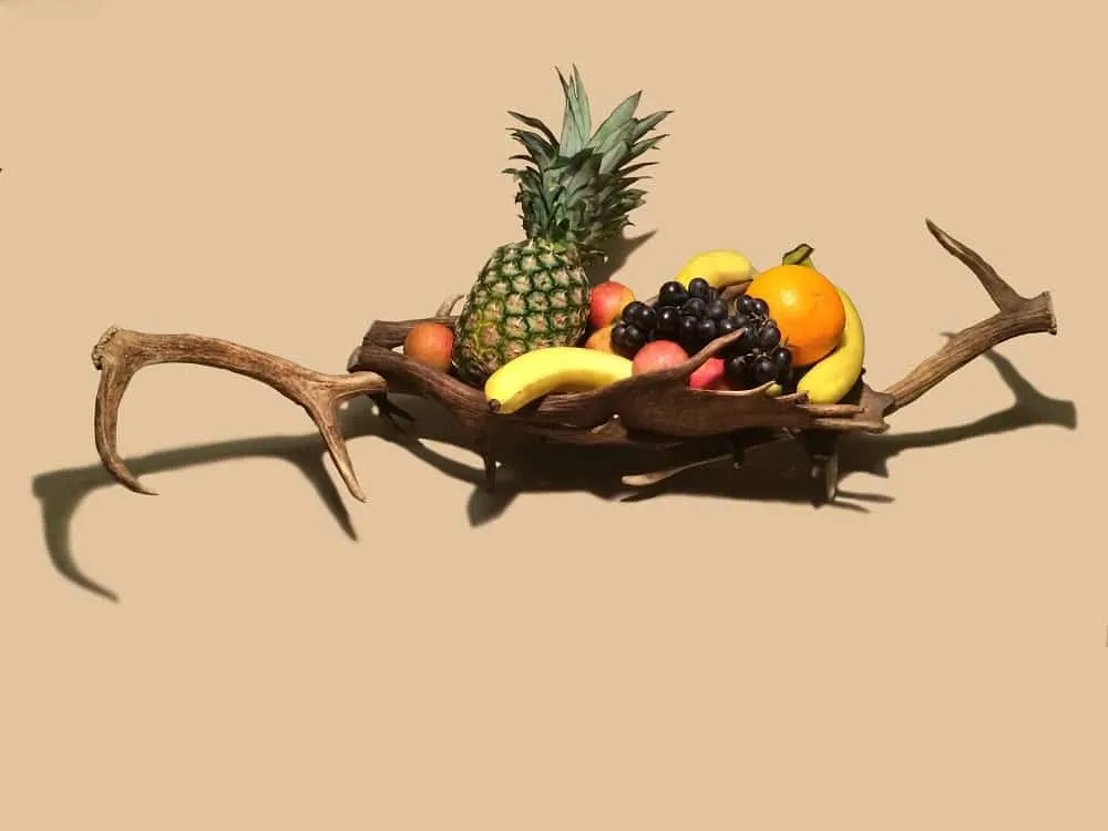 Oh My Deer Geweih Obstschale frugtskål af gevir natur