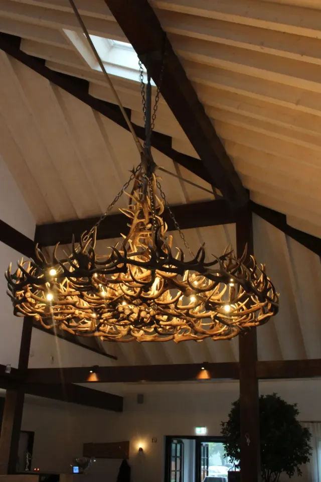 Oh My Deer XXL-Geweihlampe gevirlampe XXL krone