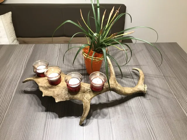 Oh My Deer Damhirsch fyrfadsstage i træ med dåhjort