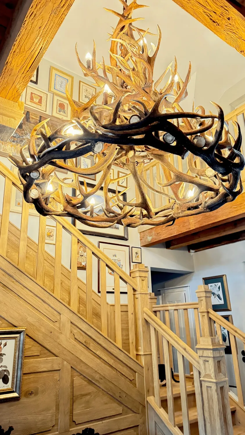 Oh My Deer Jagdlampe jagtlampe med gevir
