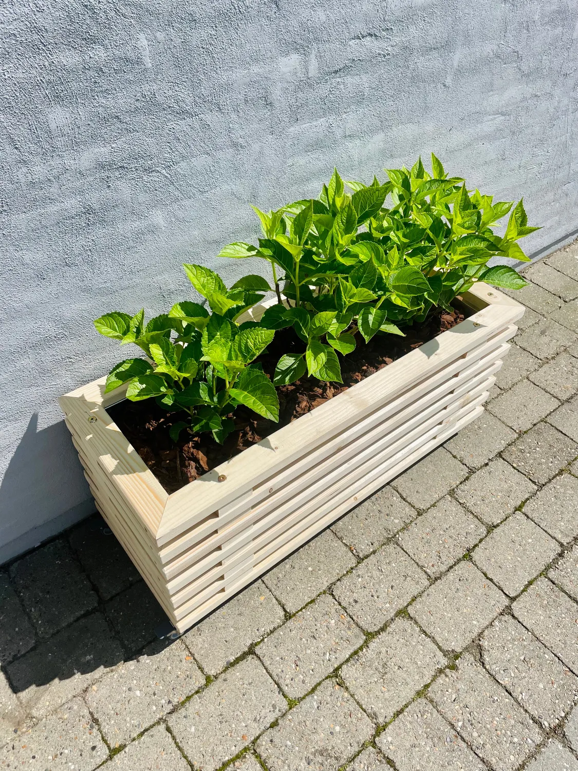 Kabeltromlen Plantekasse nye traller 43 cm 95 cm med hjul