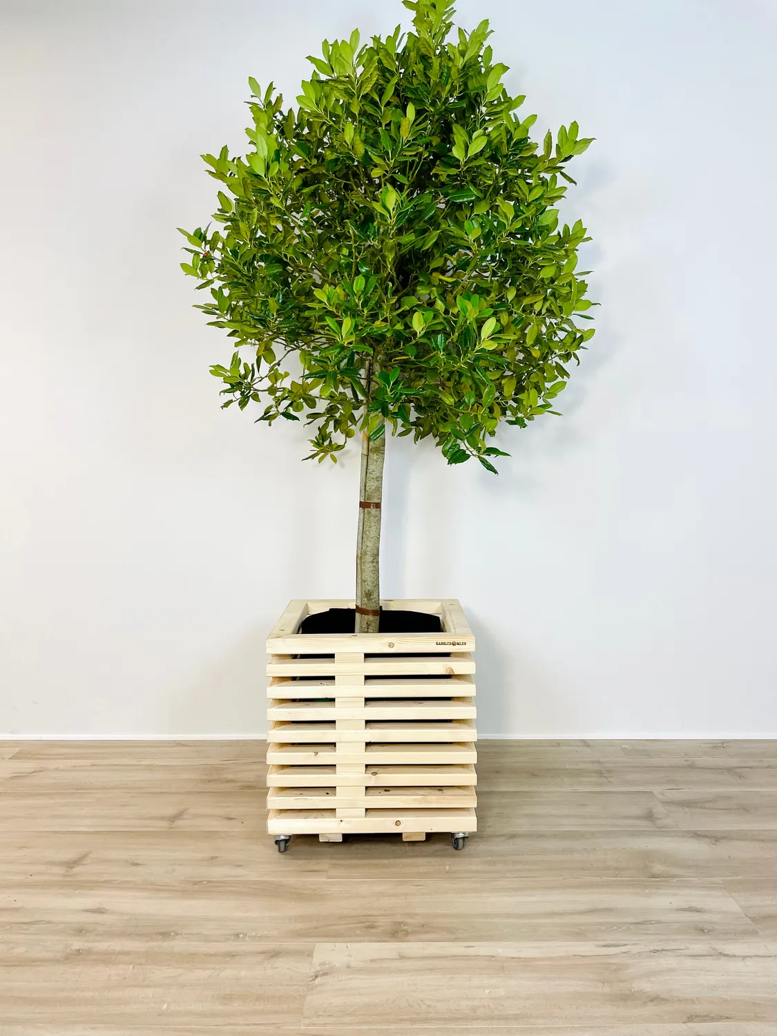 Kabeltromlen Planteskjuler plantekasse nye traller 52 cm
