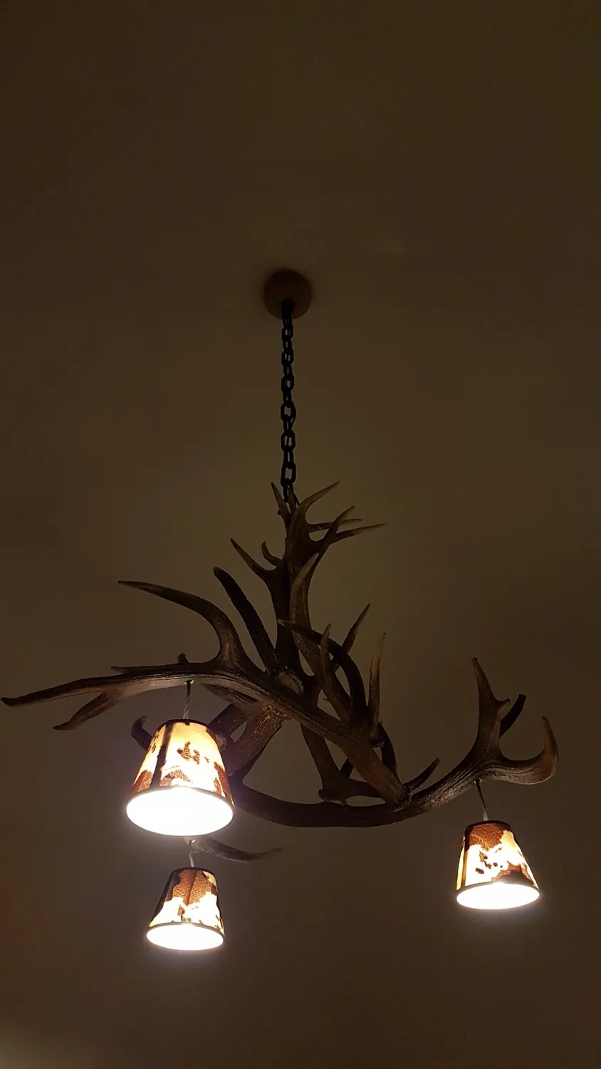 Oh My Deer Geweihlampe gevirlampe natur