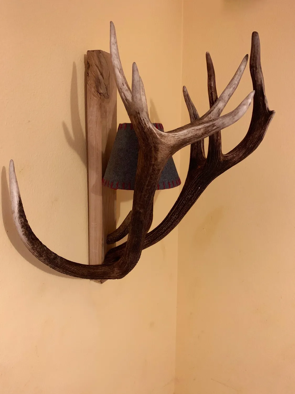 Oh My Deer Geweih Wandlampe væglampe gevir natur