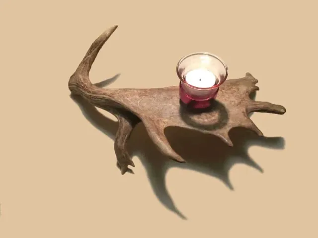 Oh My Deer Damwild fyrfadsstage af dåhjortetak