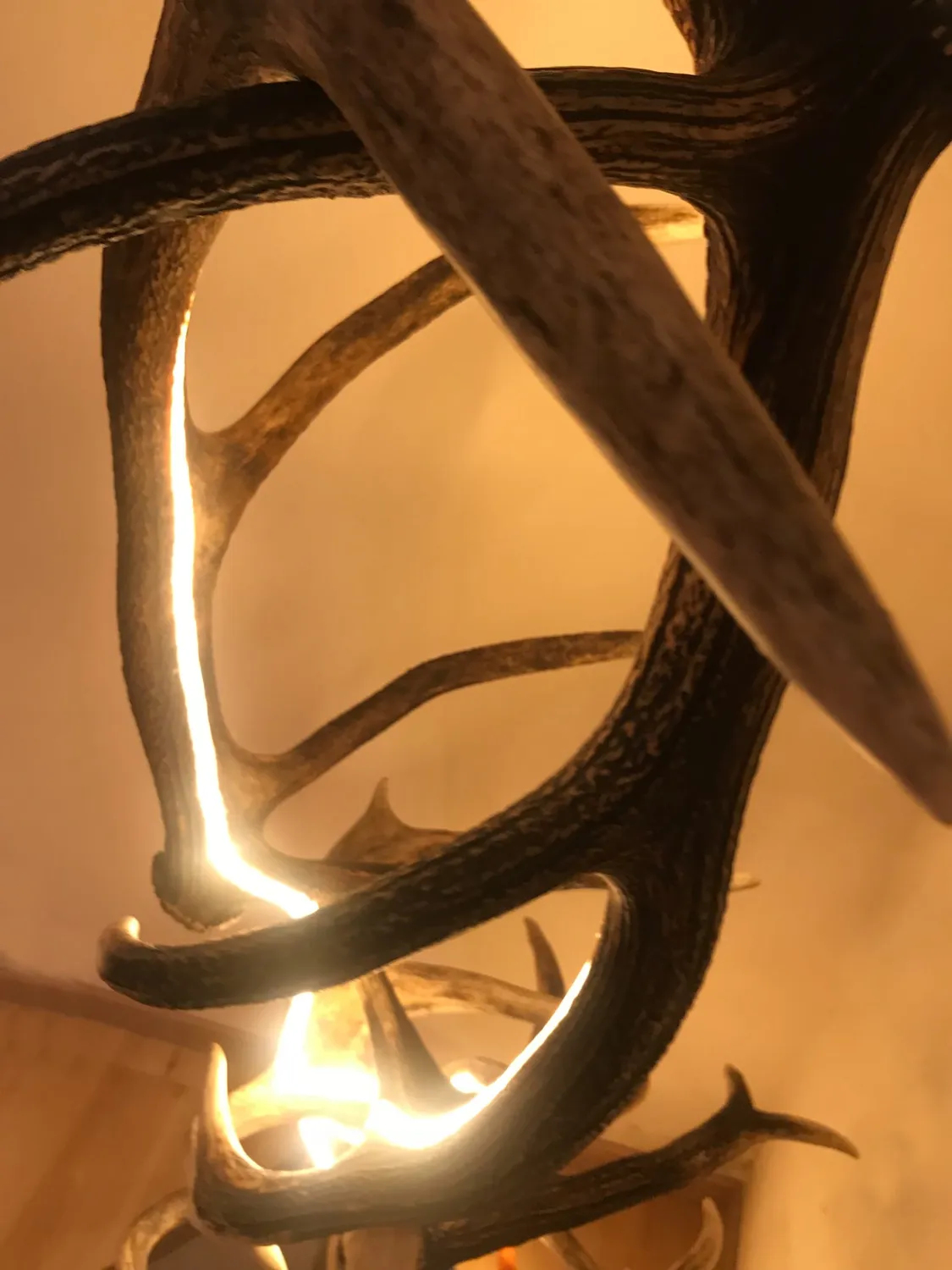 Oh My Deer Design Stehlampe gulvlampe design