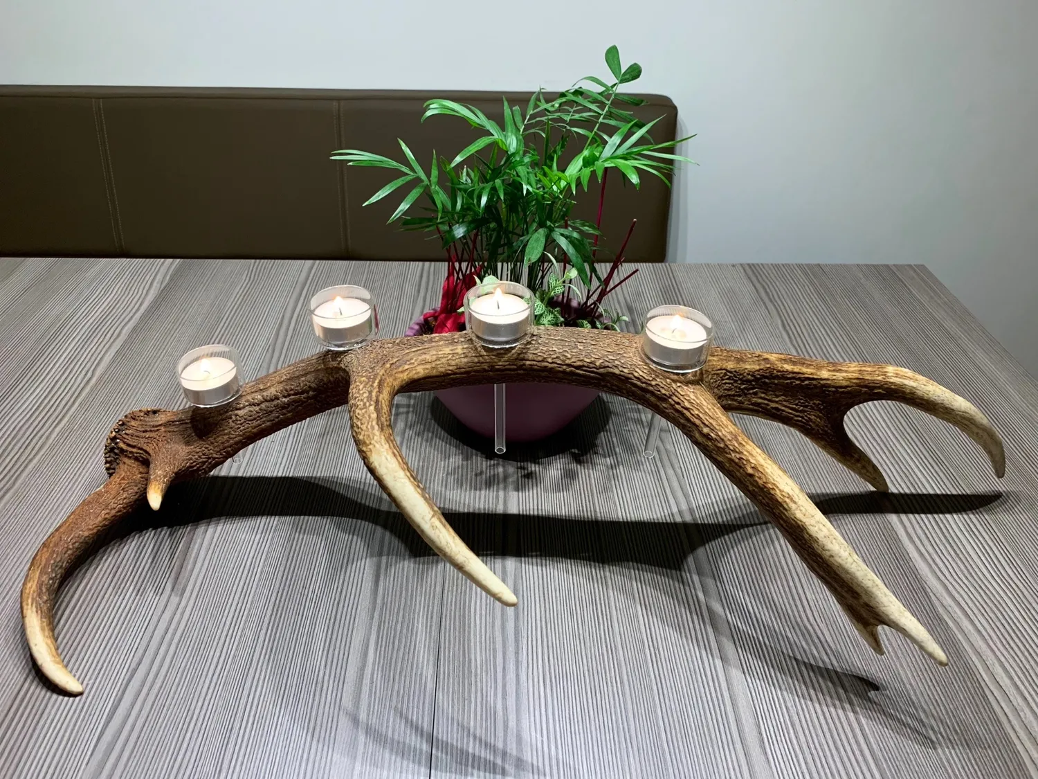 Oh My Deer Teelichthalter fyrfadsstage i glas