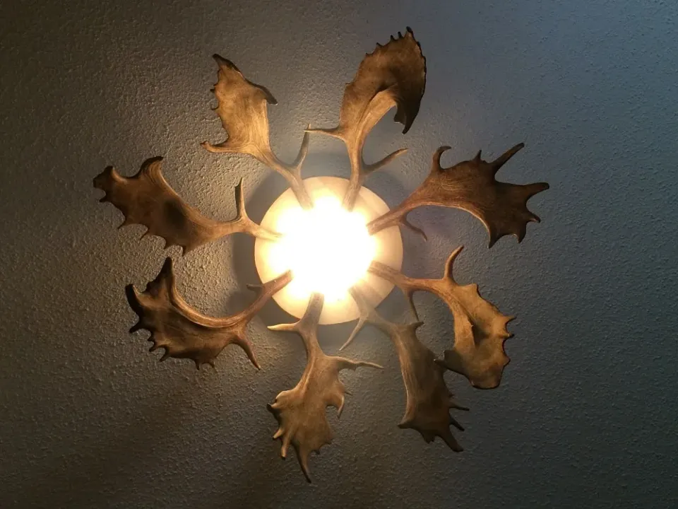 Oh My Deer Geweih Deckenlampe loftlampe gevir