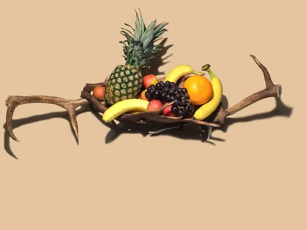 Oh My Deer Geweih Obstschale frugtskål af gevir natur