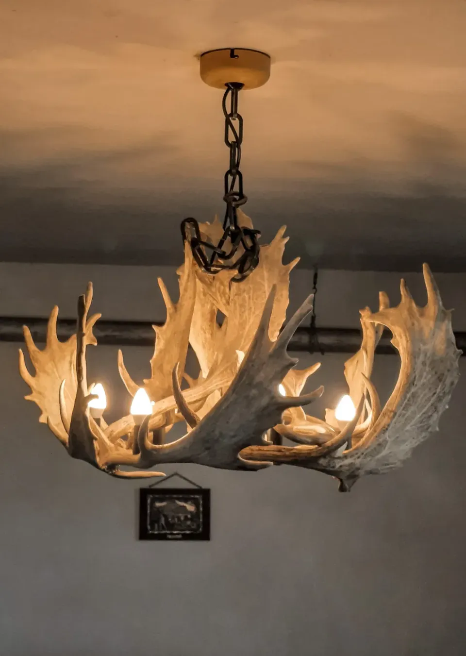 Oh My Deer Damhirsch gevirlampe krone natur gevir