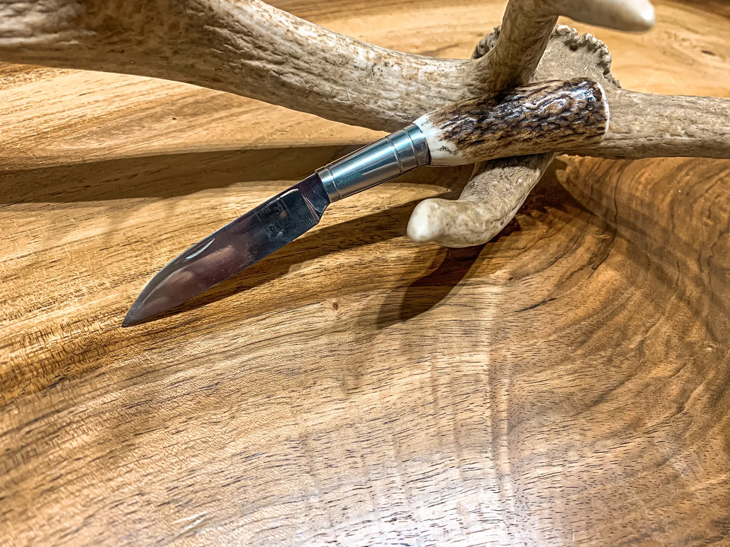Oh My Deer Hirschhorn Feitel foldekniv hjortehorn