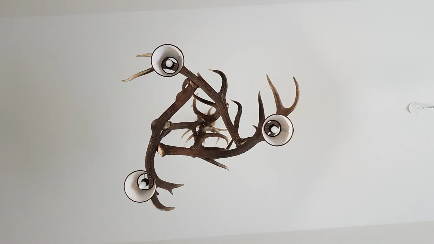 Oh My Deer Geweihlampe gevirlampe natur