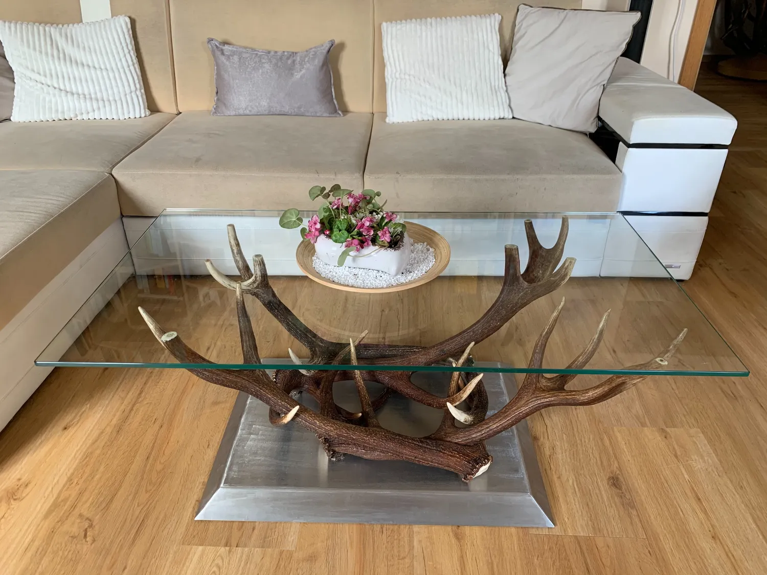 Oh My Deer Hirschgeweih møbel design i gevir