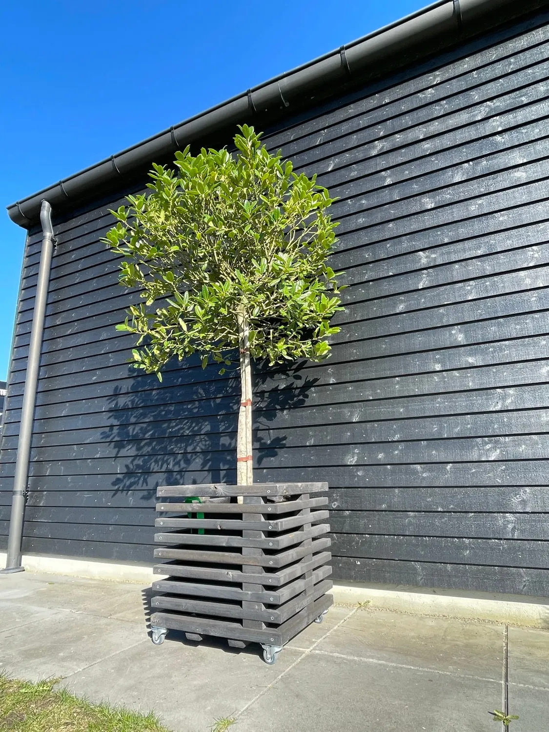 Kabeltromlen Planteskjuler plantekasse nye traller 52 cm