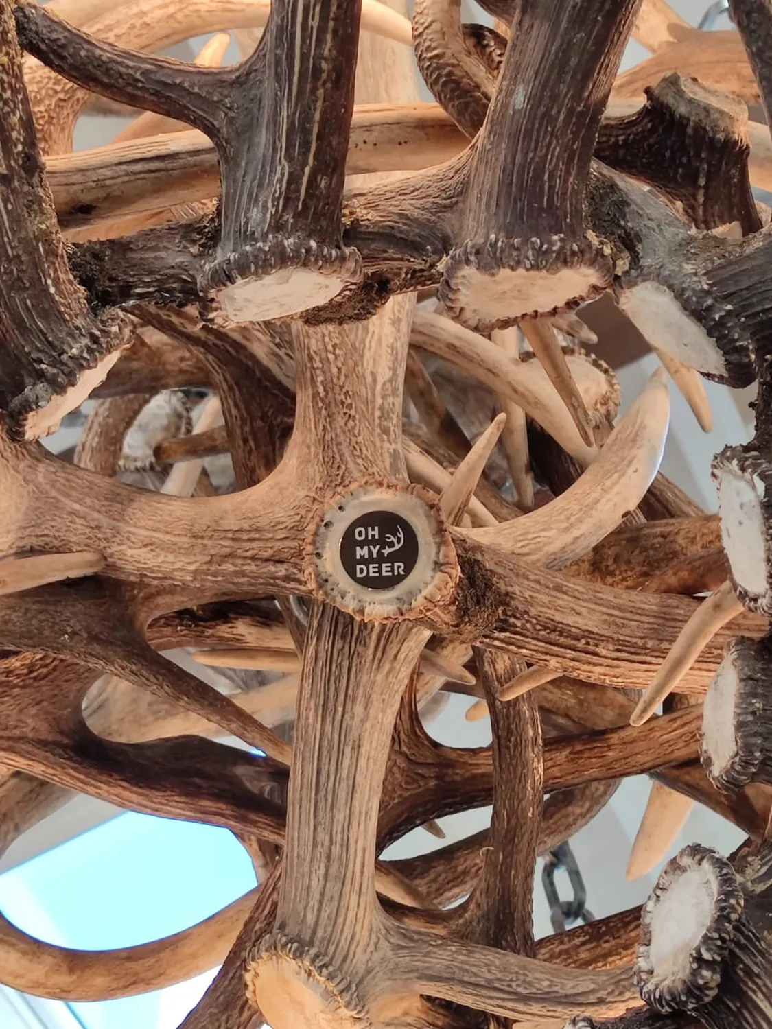 Oh My Deer XXL-Geweihlampe gevirlampe XXL krone