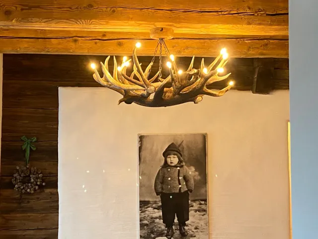 Oh My Deer Geweih Lampe gevirlampe med LED