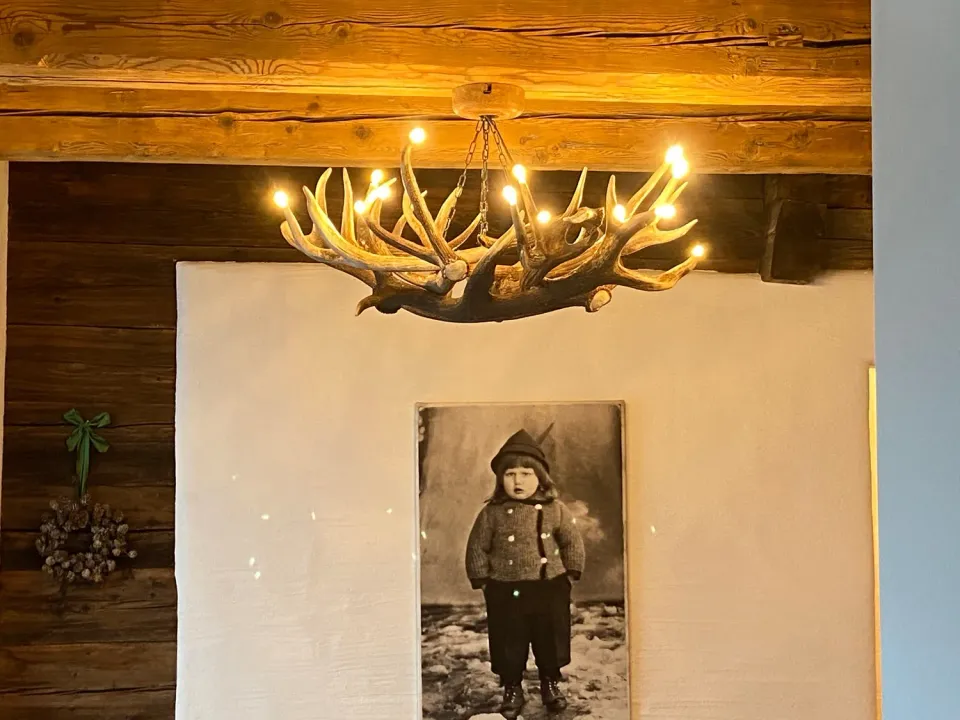 Oh My Deer Geweih Lampe gevirlampe med LED