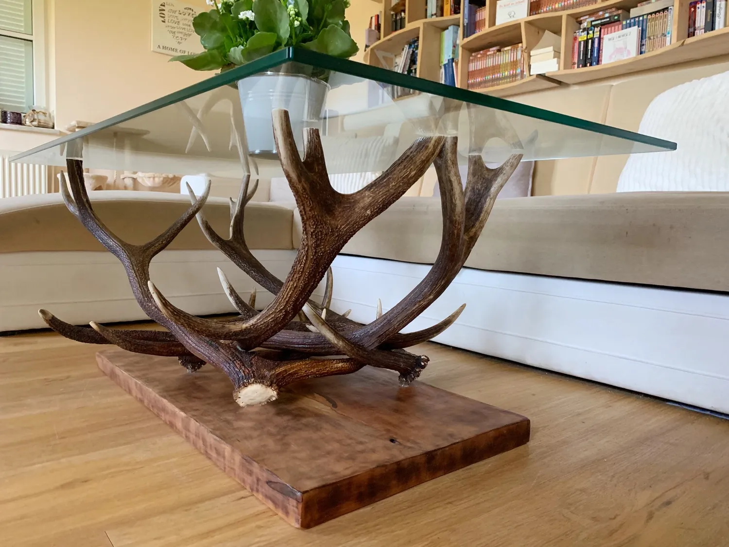 Oh My Deer Couchtisch sofabord landhus massivt træ
