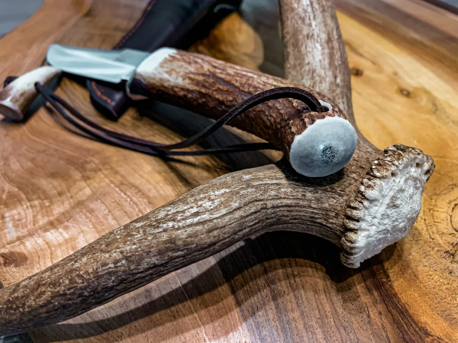 Oh My Deer Jagdmesser jagtkniv med hornskæfte horn