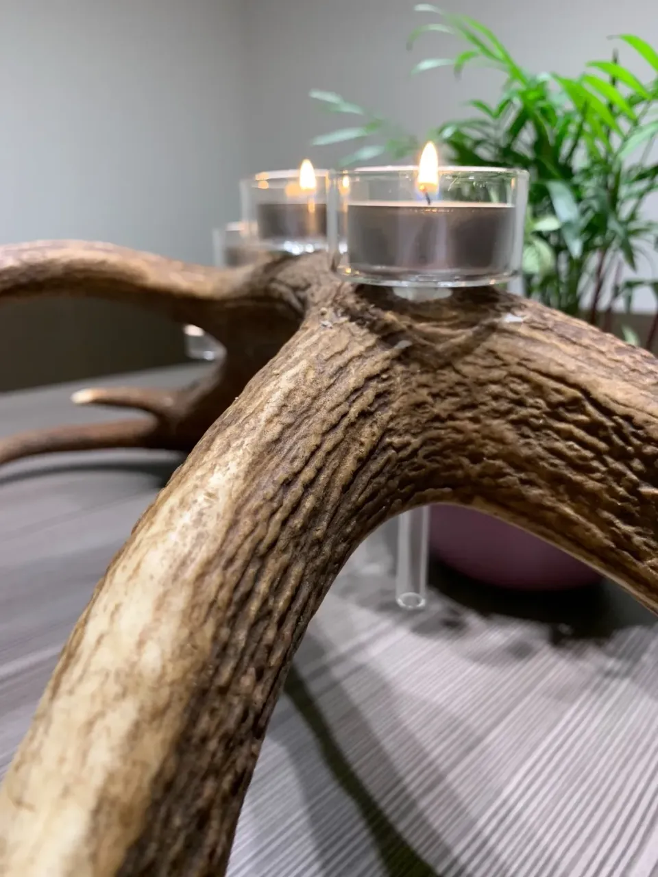 Oh My Deer Teelichthalter fyrfadsstage i glas