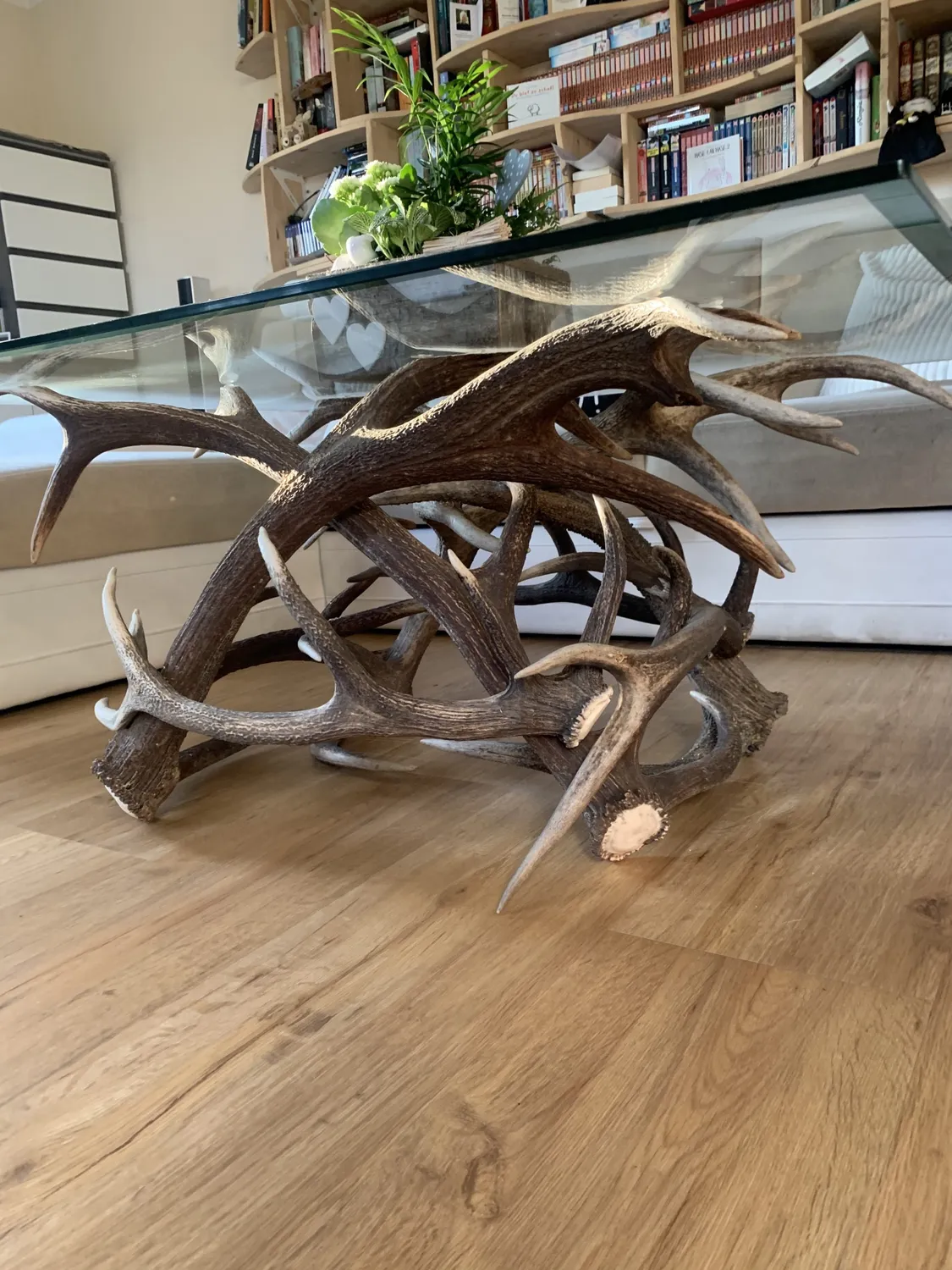 Oh My Deer Landhaus Couchtisch sofabord massivt træ