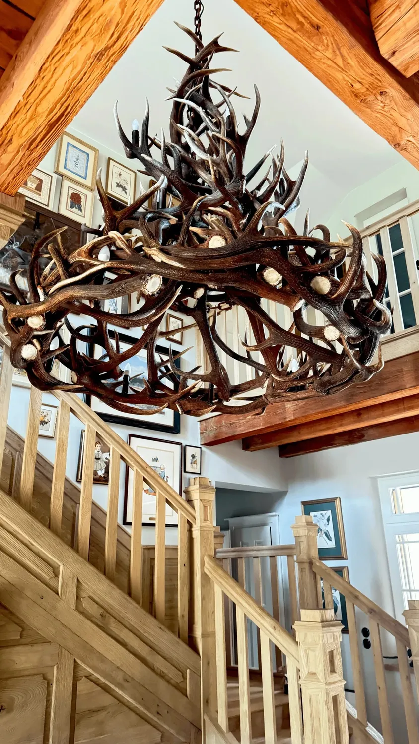 Oh My Deer Jagdlampe jagtlampe med gevir