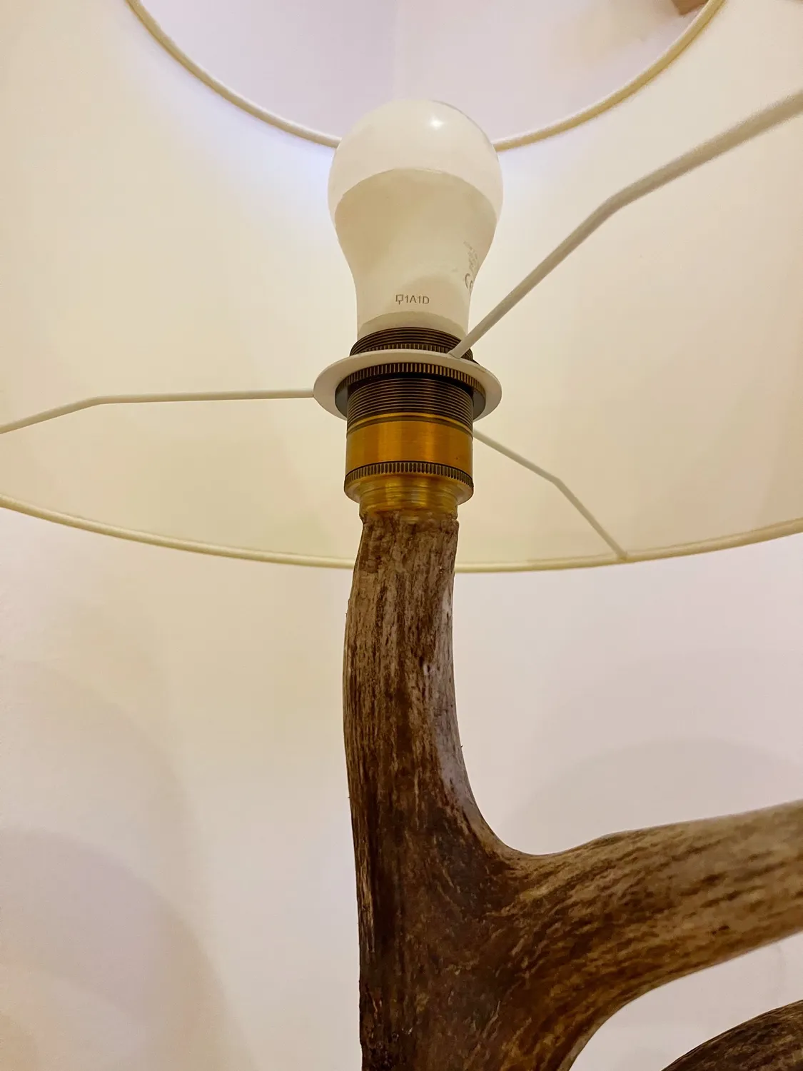 Oh My Deer Rothirsch standerlampe krondyr