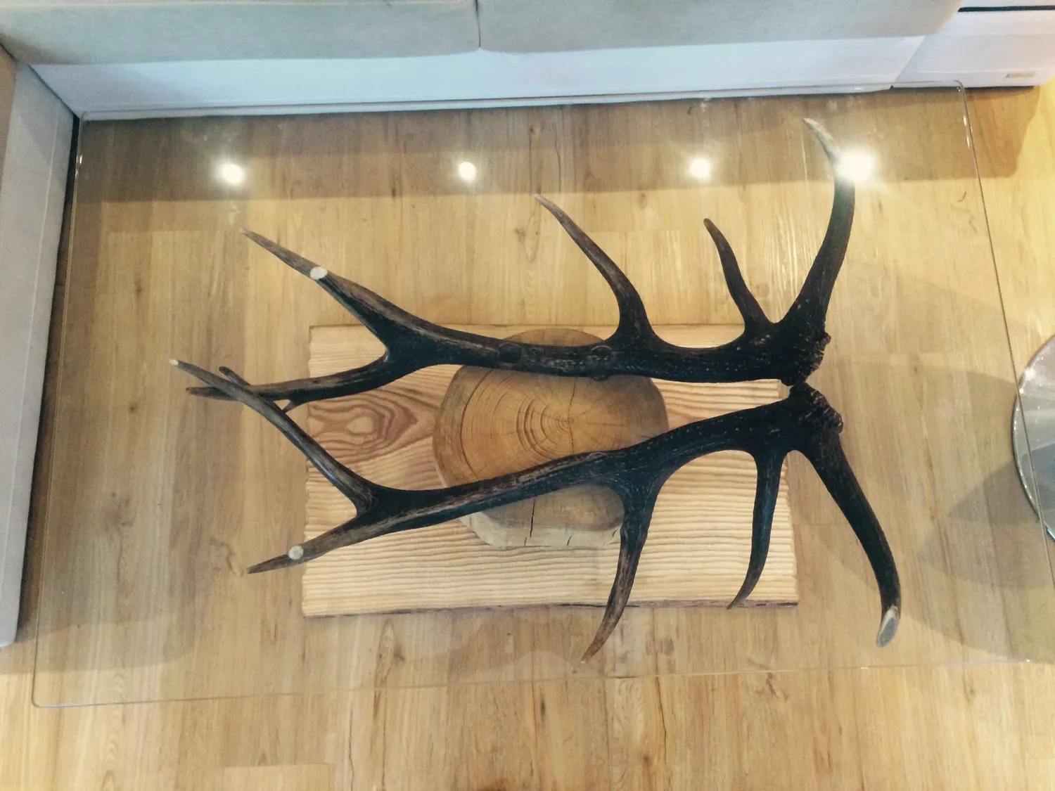 Oh My Deer Couchtisch designer sofabord i træ