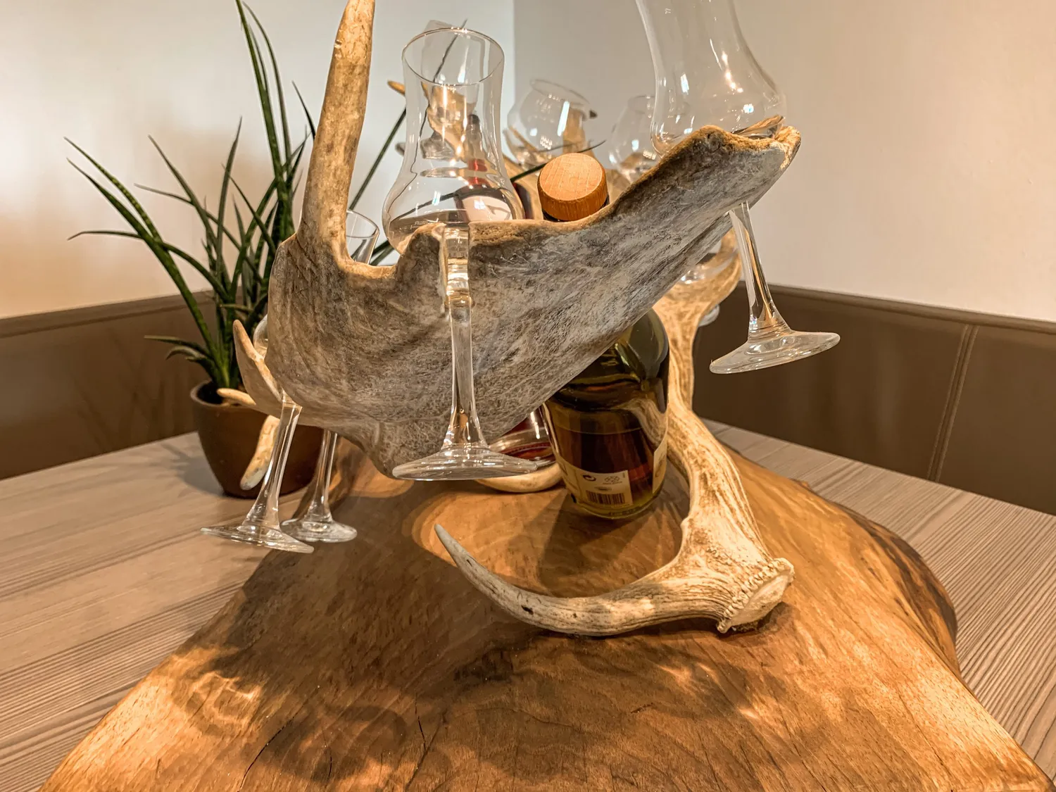 Oh My Deer Whisky Præsentation holder rustik træ