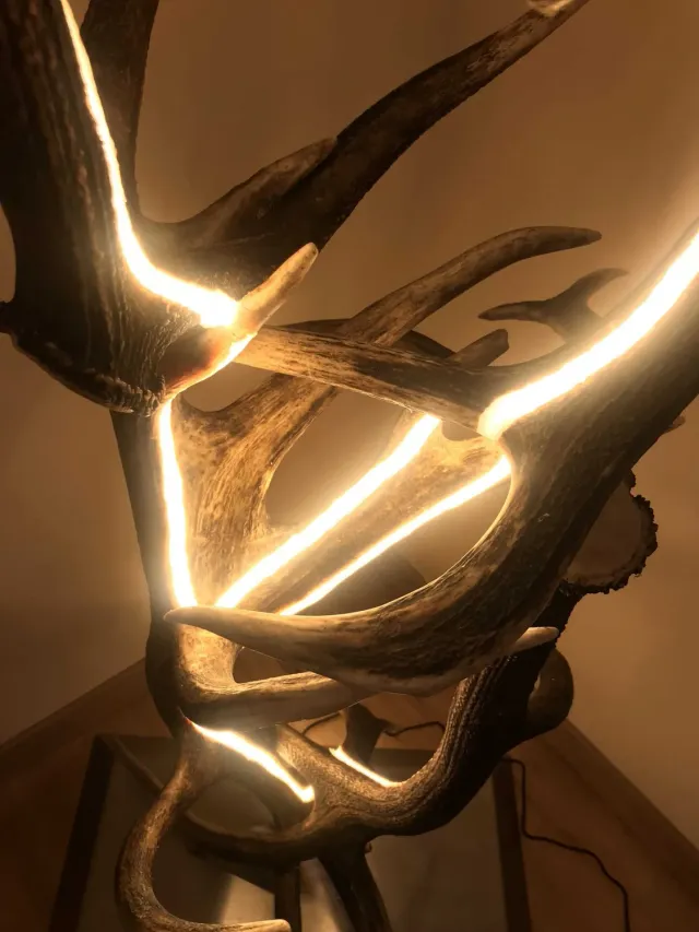 Oh My Deer Design Stehlampe gulvlampe design