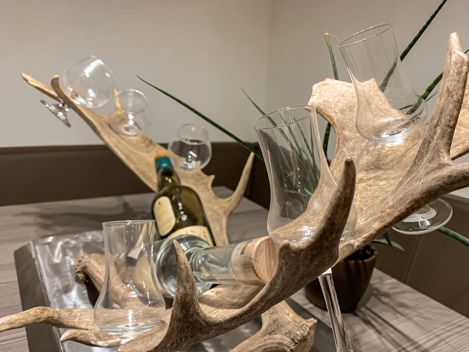 Oh My Deer whiskypræsentation stål flot