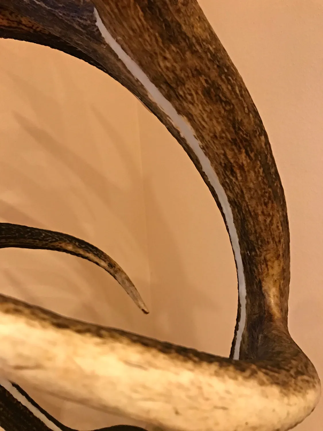 Oh My Deer Design Stehlampe gulvlampe design