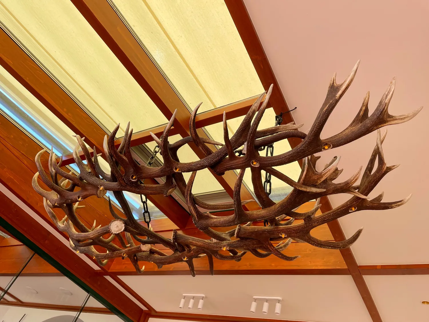Oh My Deer G4 LED flach spisebordslampe
