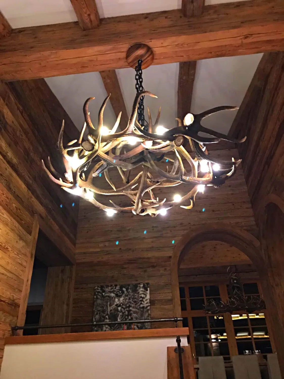 Oh My Deer Hirschgeweih lampe i gevir til loft