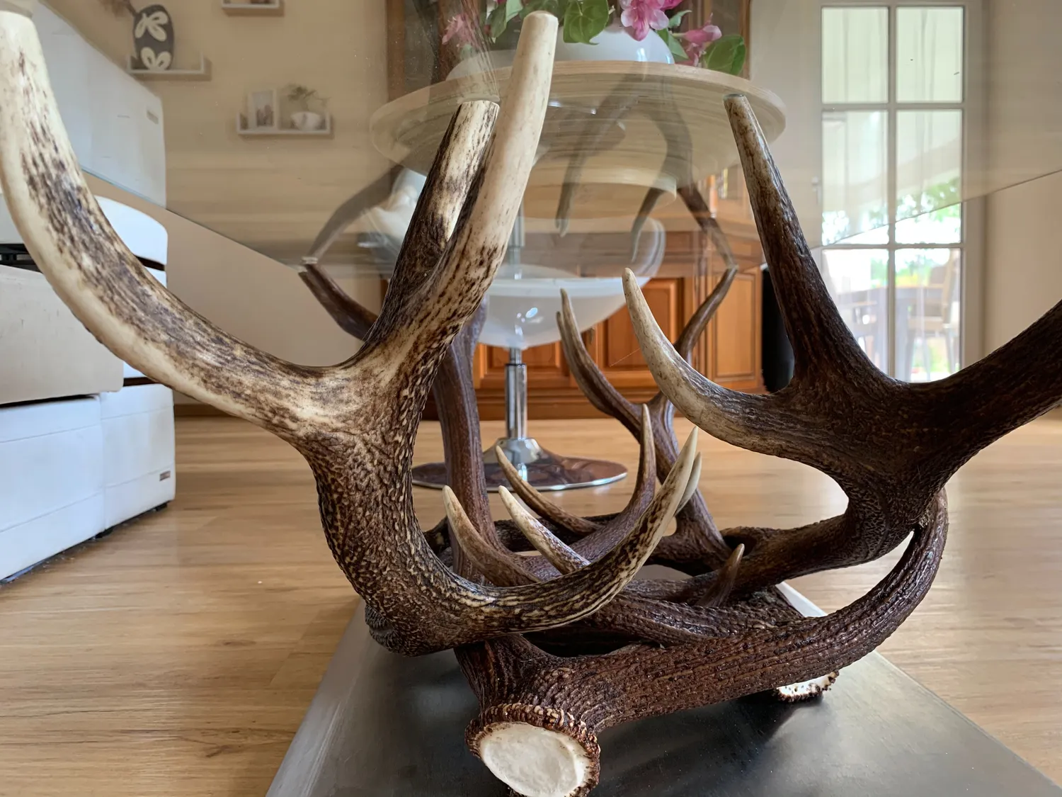 Oh My Deer Hirschgeweih møbel design i gevir