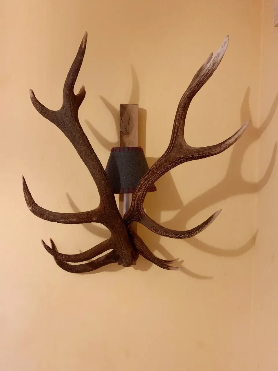Oh My Deer Wandlampe Geweih væglampe gevirlampe