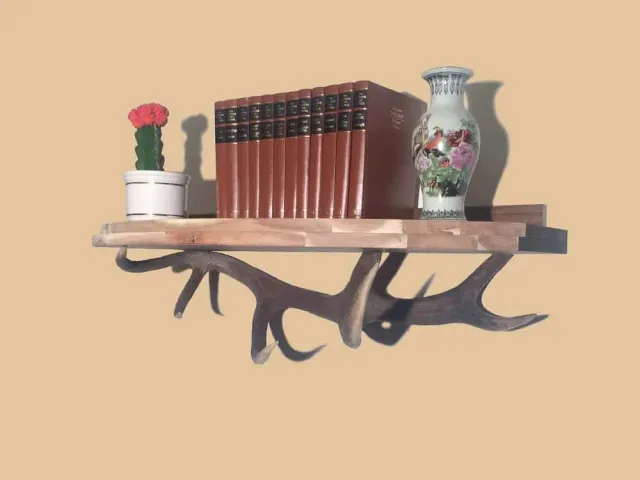 Oh My Deer Abwurfstange hylde af kronhjortetak