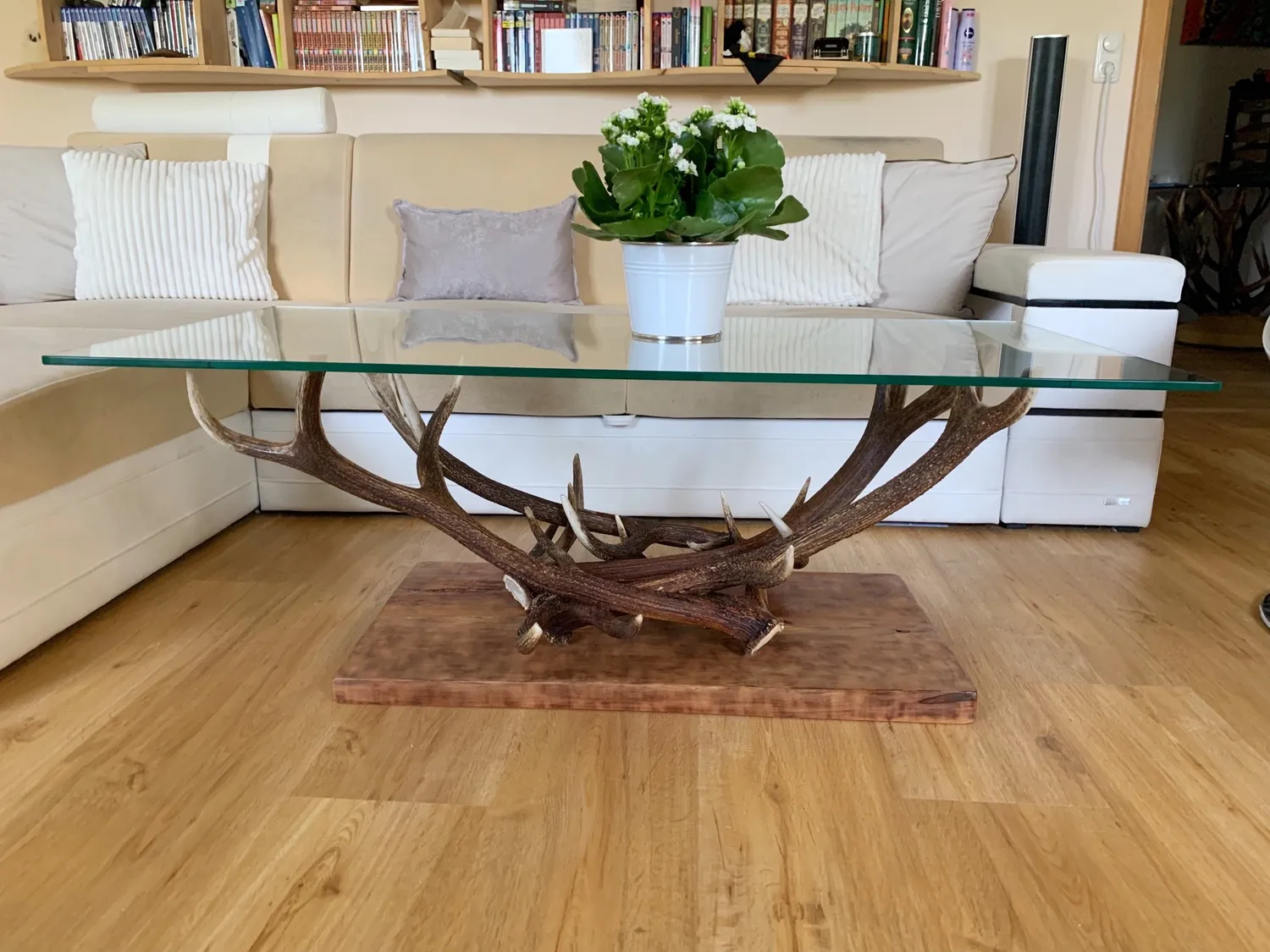 Oh My Deer Couchtisch sofabord landhus massivt træ
