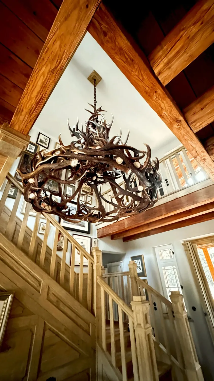 Oh My Deer Jagdlampe jagtlampe med gevir
