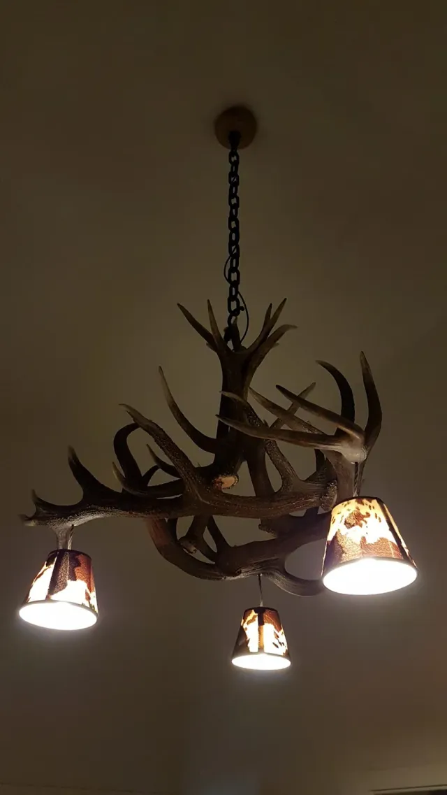 Oh My Deer Geweihlampe gevirlampe natur