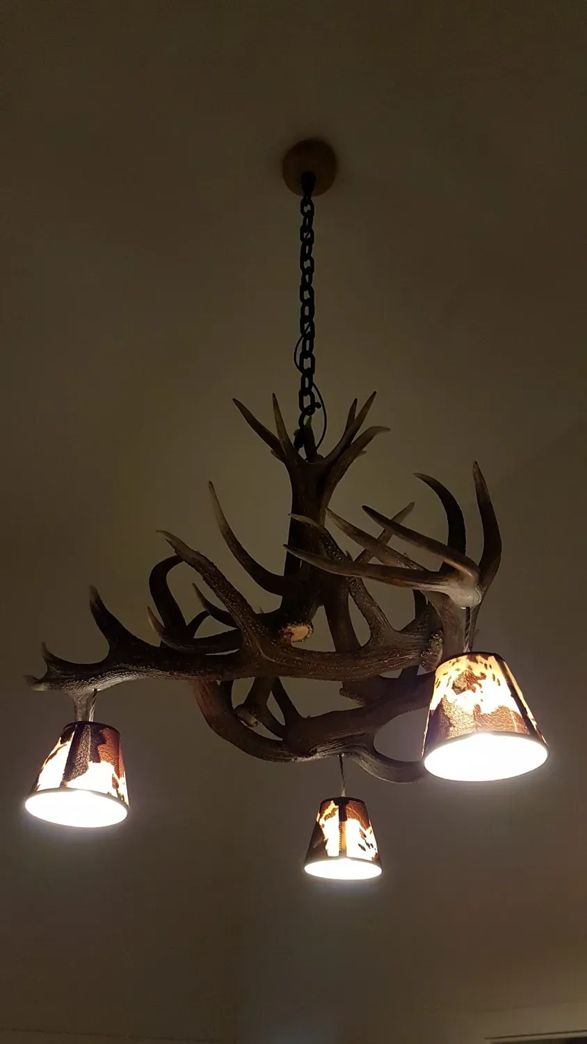 Oh My Deer Geweihlampe gevirlampe natur